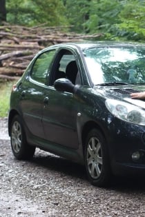 Bayan, 45 yaşında, Metz / Fransa Escort - 3