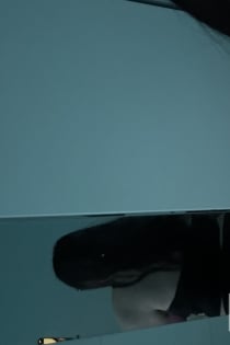 Meli, Age 20, Karlstad / Sweden Escorts - 5