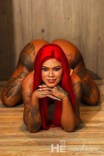 Thamara trans, 28 ans, Béziers / France Escortes - 4